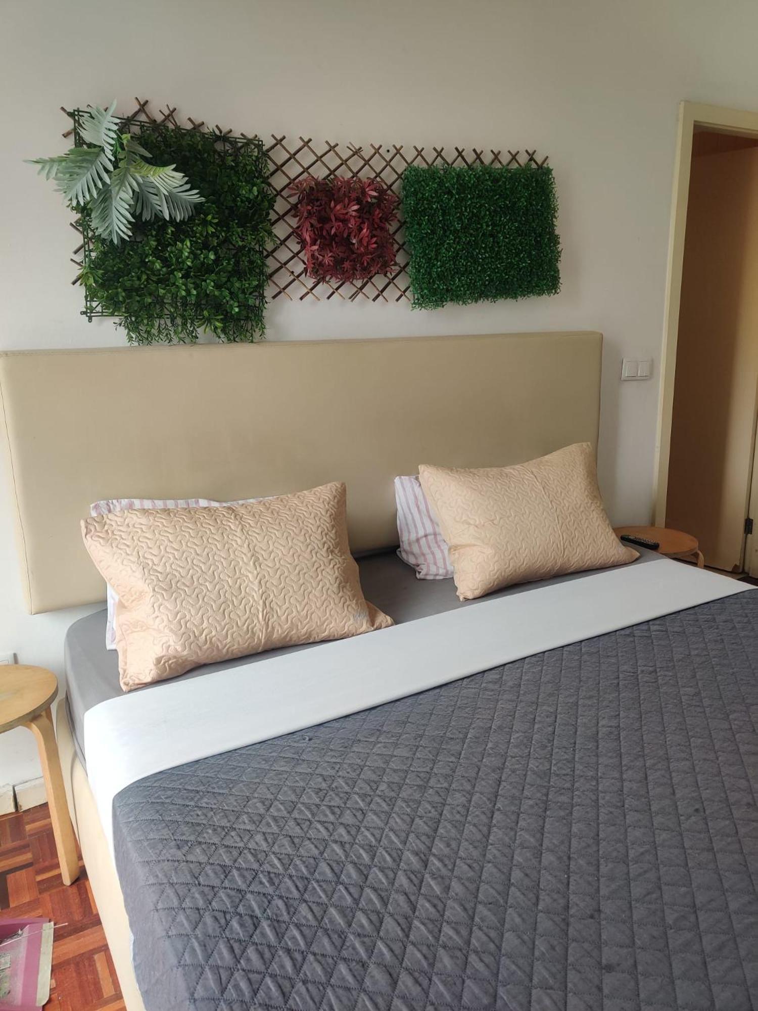 Appartement Estacao De Campanha Flat